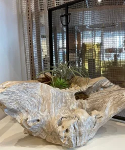 Arteriors Home Nantucket Bowl New Arrivals