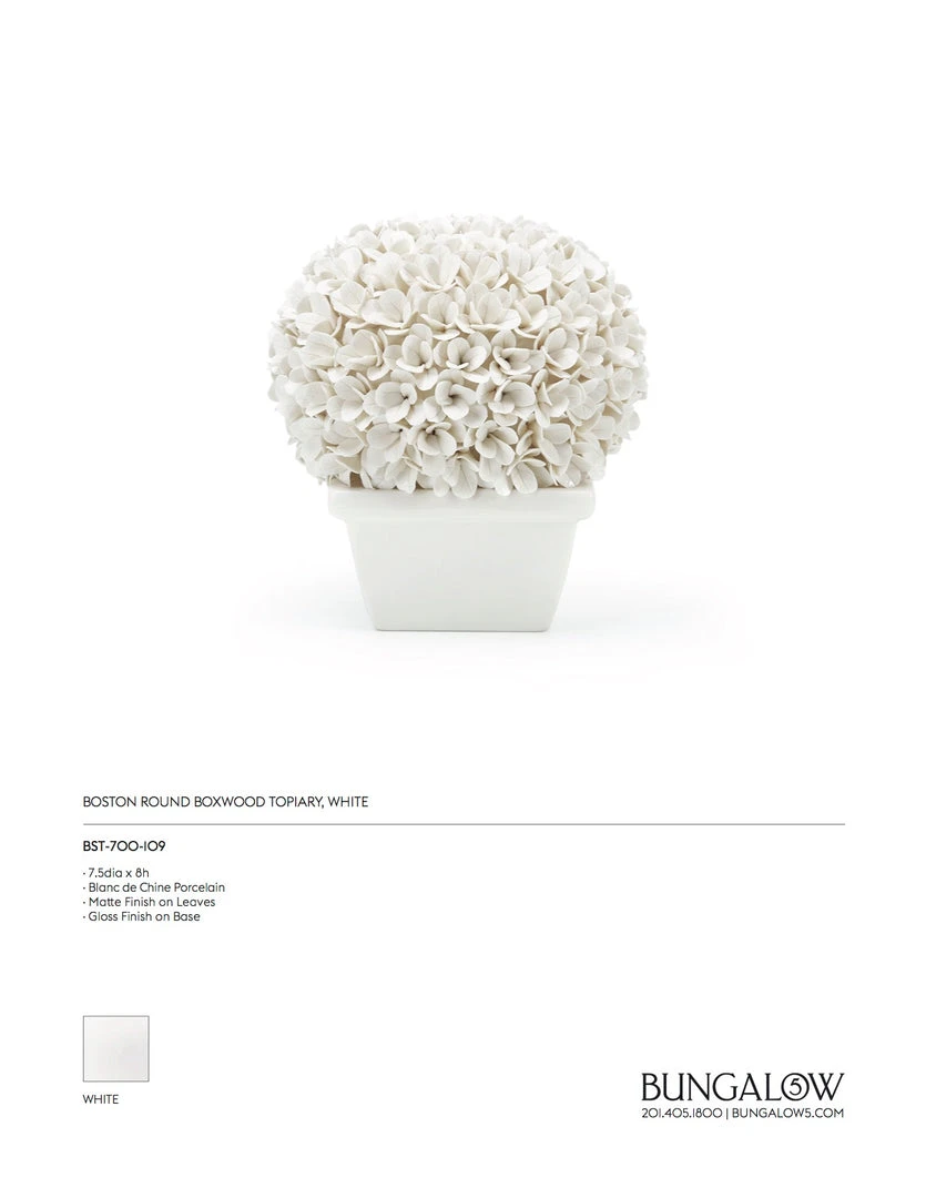 Bungalow 5 Boston Round Boxwood Topiary New Arrivals 7 Bungalow 5 Boston Round Boxwood Topiary New Arrivals