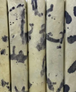 E Lawrence New Arrivals Natural Vellum Book Set Of 6 8 E Lawrence New Arrivals Natural Vellum Book Set Of 6