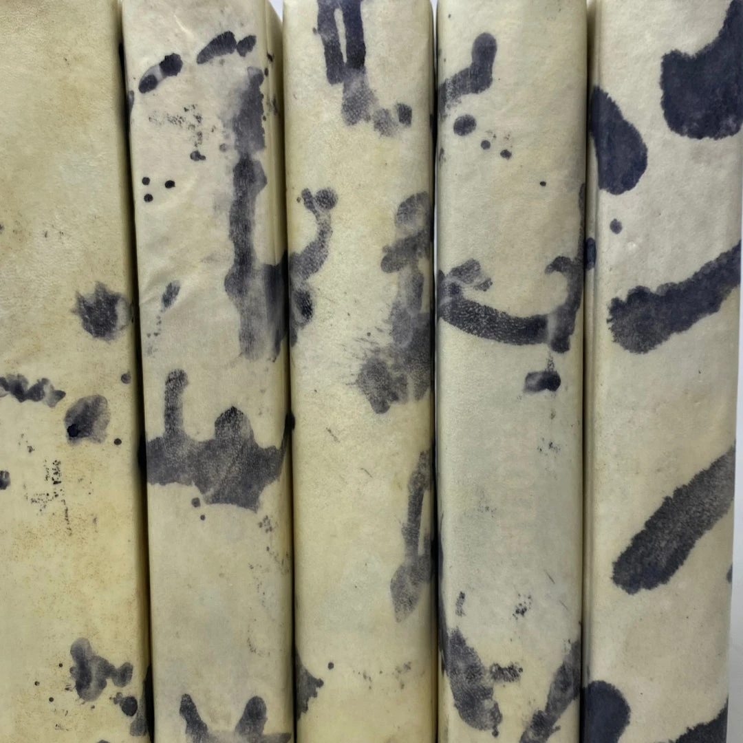 E Lawrence New Arrivals Natural Vellum Book Set Of 6 5 E Lawrence New Arrivals Natural Vellum Book Set Of 6