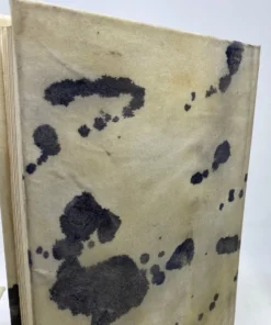 E Lawrence New Arrivals Natural Vellum Book Set Of 6 9 E Lawrence New Arrivals Natural Vellum Book Set Of 6