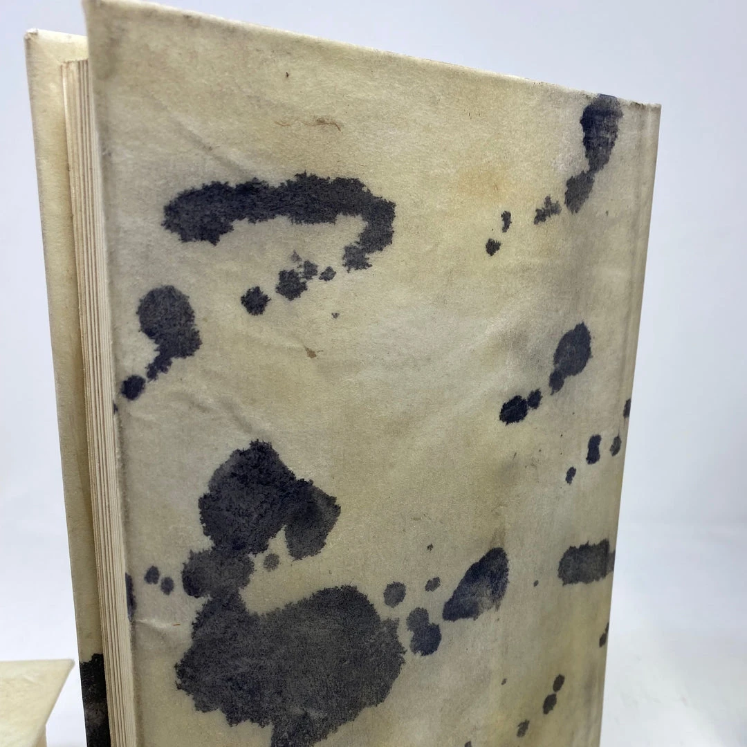 E Lawrence New Arrivals Natural Vellum Book Set Of 6 6 E Lawrence New Arrivals Natural Vellum Book Set Of 6