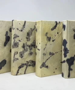 E Lawrence New Arrivals Natural Vellum Book Set Of 6