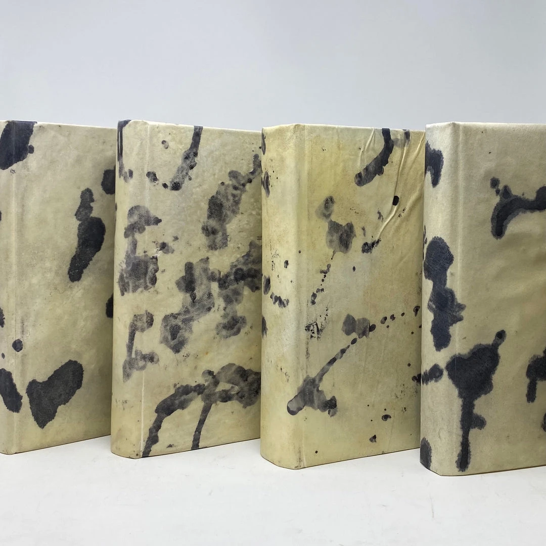 E Lawrence New Arrivals Natural Vellum Book Set Of 6 4 E Lawrence New Arrivals Natural Vellum Book Set Of 6