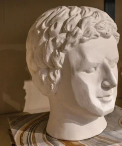 Made Goods New Arrivals Giuseppe Bust