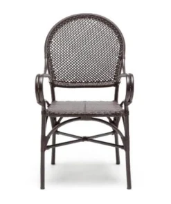 Made Goods Donovan Arm Chair Brown