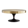 Arteriors Home Daryl Cocktail Table
