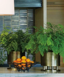 Arteriors Home New Arrivals Japanese Cachepot