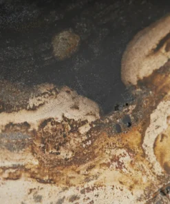 Arteriors Home Vesper Sculptures Set Of Three