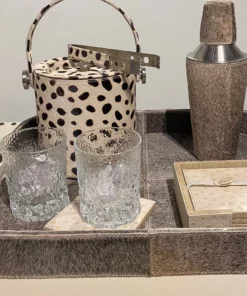 Blue Pheasant New Arrivals Fredrick Tumbler Clear Set Of 6