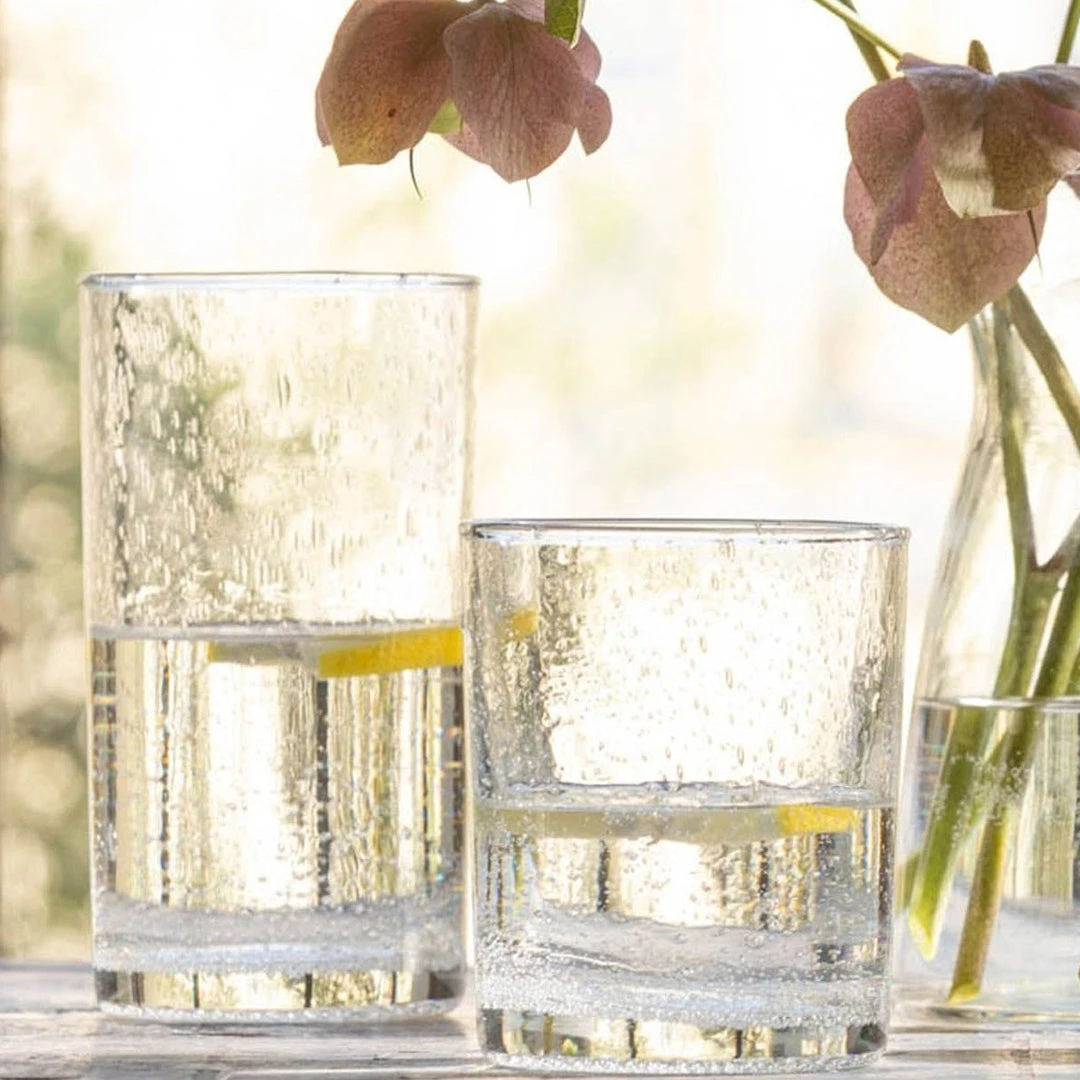 Blue Pheasant New Arrivals Quinn Clear Glass Highball Set Of 6 4 Blue Pheasant New Arrivals Quinn Clear Glass Highball Set Of 6