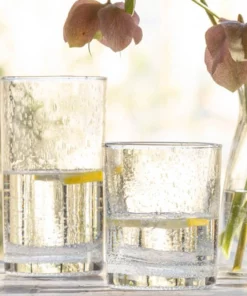 Blue Pheasant Quinn Clear Glass Tumbler Set Of 6