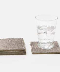 Blue Pheasant New Arrivals Tanner Coaster Set Gray