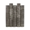 E Lawrence New Arrivals Brushed Silver On Gray Book Set Of 5