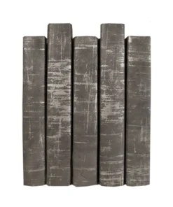 E Lawrence New Arrivals Brushed Silver On Gray Book Set Of 5