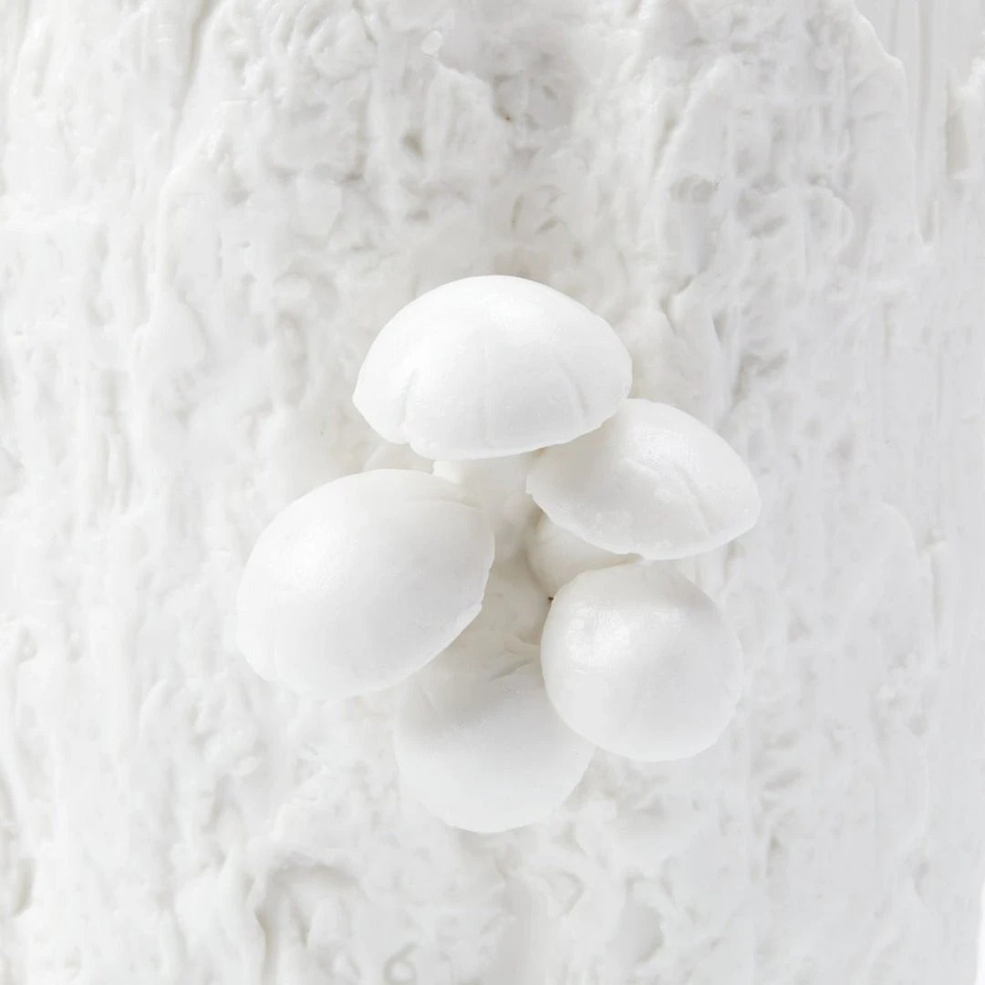 Bungalow 5 New Arrivals Branch Large Vase White 7 Bungalow 5 New Arrivals Branch Large Vase White