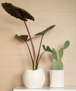 Bungalow 5 New Arrivals Cambria Vase