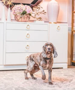 Bungalow 5 New Arrivals Pavel 4 Drawer 2 Door Cabinet White