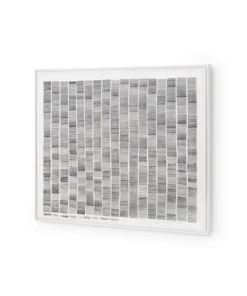 Bungalow 5 New Arrivals Rain Framed Silk Panel Black