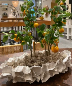 Made Goods Coco Tray White With Silver Faux Coral New Arrivals