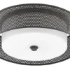 Currey And Company Notte Flush Mount