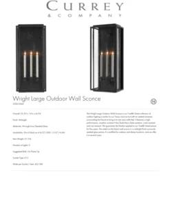 Currey And Company Tanzy Outdoor Sconce Large