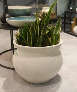 Jamie Young Ashen Cauldron New Arrivals 9 Jamie Young Ashen Cauldron New Arrivals