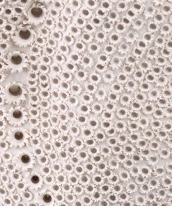 Jamie Young Eclipse Vase New Arrivals