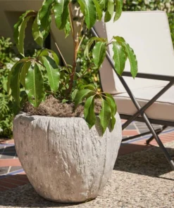 Made Goods Cedrus Planter Large 7 Made Goods Cedrus Planter Large