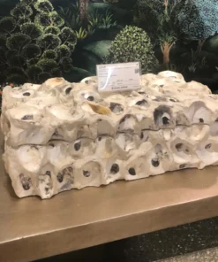 Made Goods Cove Box Set Oyster Shells