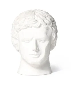 Made Goods New Arrivals Giuseppe Bust