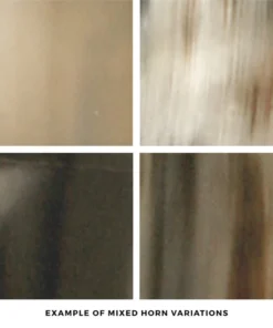 Made Goods Pierson Small Mirror Mixed Horn New Arrivals