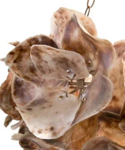 Made Goods Venus Chandelier Natural Saddle