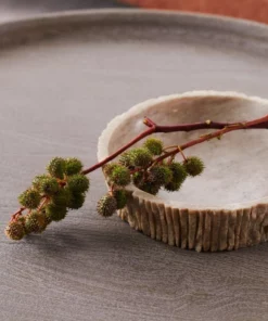 Made Goods Zakai Bowl Small