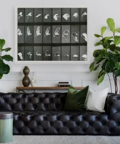 Natural Curiosities New Arrivals Animals In Motion Doves No. 1