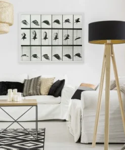 Natural Curiosities Animals In Motion Doves No. 2