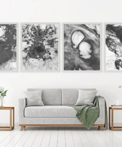 Natural Curiosities New Arrivals Black And White Ink And Water Framed Artwork No. 4