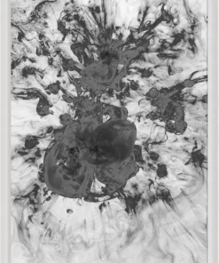 Natural Curiosities New Arrivals Black And White Ink And Water Framed Artwork No. 7