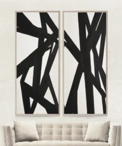 Natural Curiosities Black And White Abstract Panel Pair Framed Artwork