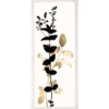 Natural Curiosities Black And White Herbarium 1 Framed Artwork New Arrivals