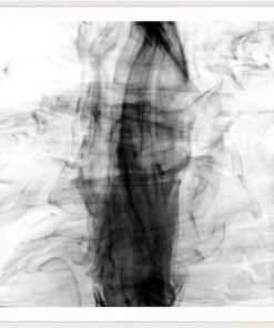 Natural Curiosities Black And White Ink Framed Artwork New Arrivals