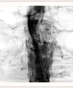 Natural Curiosities Black And White Ink Framed Artwork New Arrivals