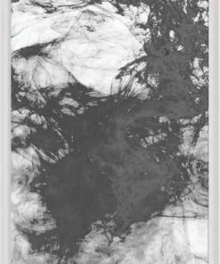 Natural Curiosities Black And White Ink And Water Framed Artwork No. 6 New Arrivals