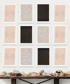 Natural Curiosities Calm State 1 Framed Artwork New Arrivals