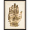 Natural Curiosities Gallicus Hands 2 Gold Leaf Framed Artwork New Arrivals