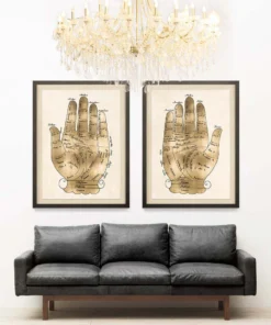 Natural Curiosities Gallicus Hands 1 Gold Leaf Framed Artwork New Arrivals