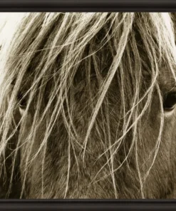 Natural Curiosities New Arrivals Hyden Horses Blonde Framed Artwork