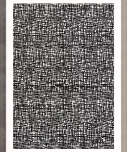 Natural Curiosities Opposites 1 New Arrivals