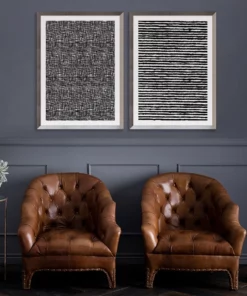 Natural Curiosities Opposites 1 New Arrivals