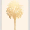 Natural Curiosities New Arrivals Palm Springs Golden Palms 2 Series 2 1 Natural Curiosities New Arrivals Palm Springs Golden Palms 2 Series 2